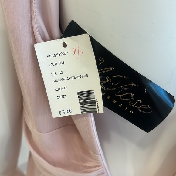 NWT SAMPLE LELEA ROSE LR200 size 12 Blush (Pink) Crinkle Chiffon. Pristine - Picture 6 of 7